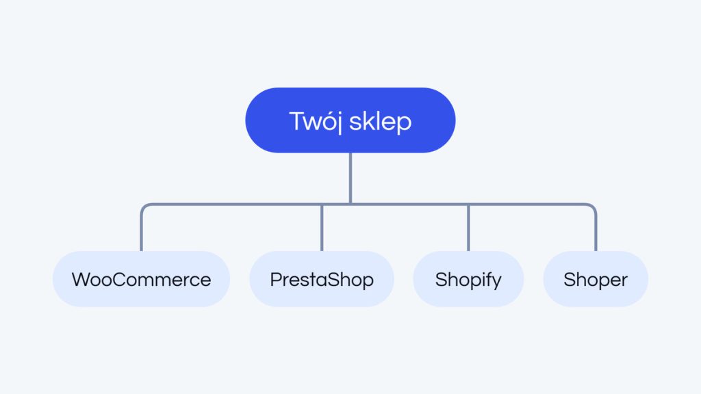 Jak wybrać platformę pod sklep lub stronę: WooCommerce, PrestaShop, Shopify czy Shoper?