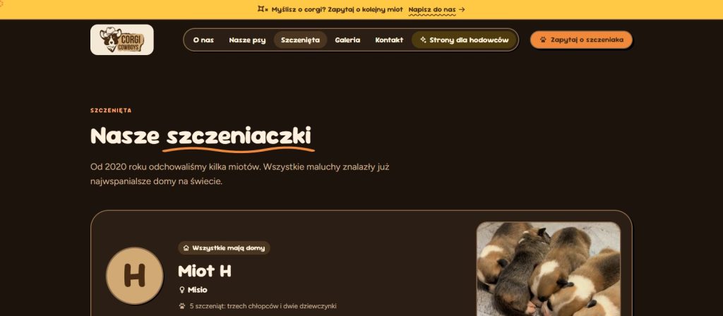 corgicowboys.pl: podstrona szczeniąt i miotów